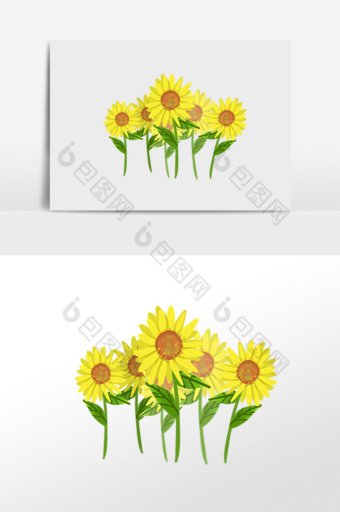 农作物花朵向日葵插画图片图片