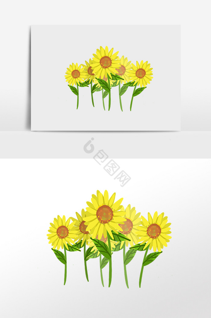农作物花朵向日葵插画