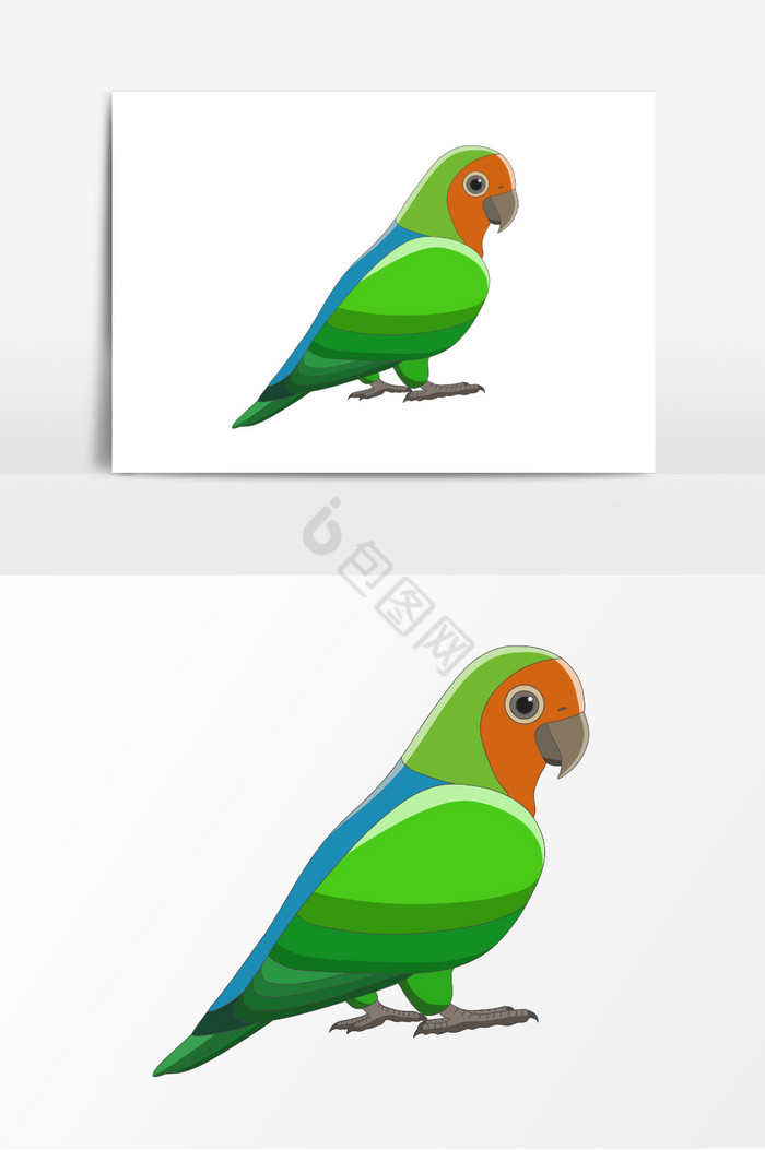 鸟插画动物插画图图片