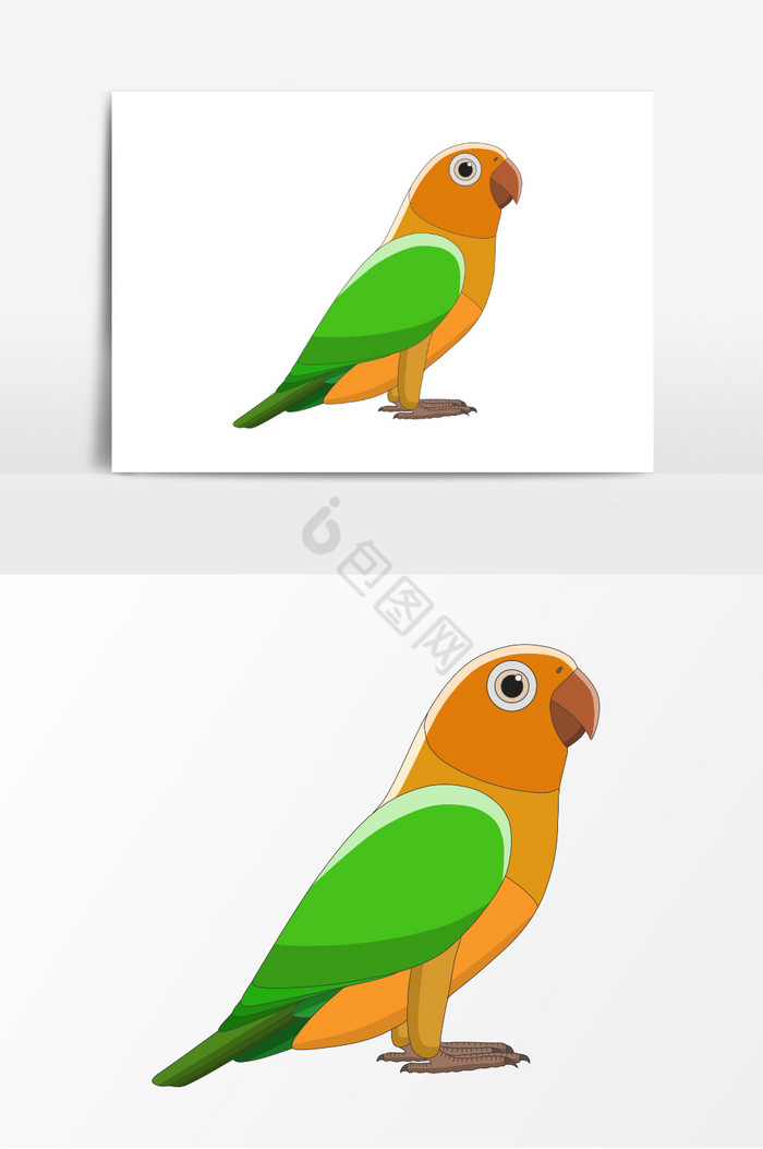 鸟动物彩色鸟插画图片