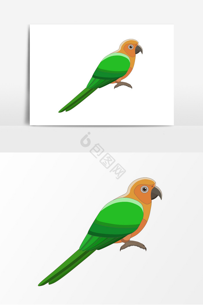 鸟动物彩色鸟图片