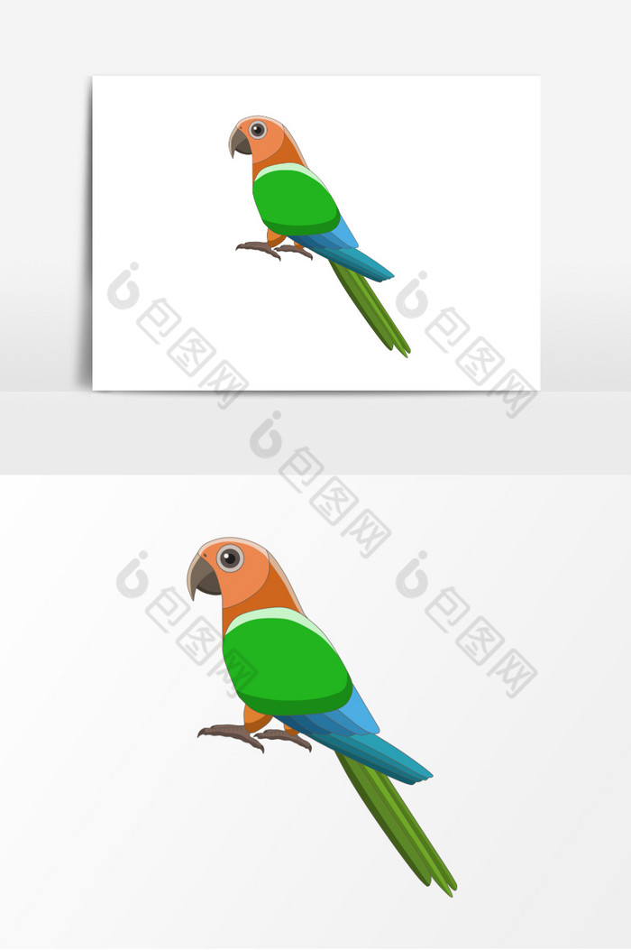 动物鸟插画彩色鸟图片图片