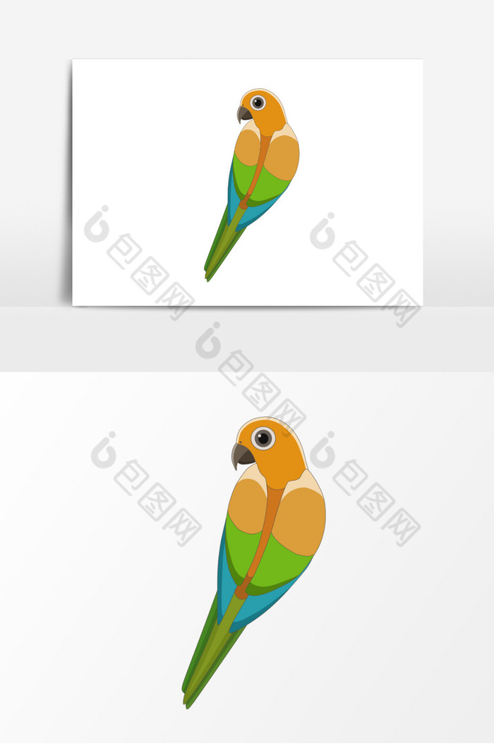 动物鸟动物插画图片图片