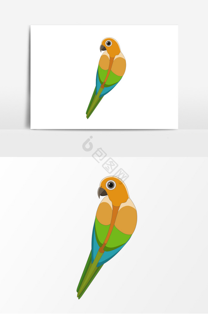 动物鸟动物插画图片