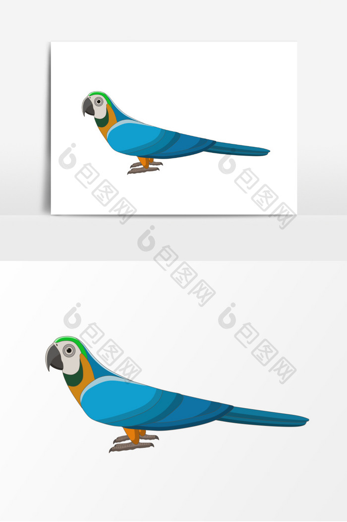 鸟动物彩色鸟插画元素