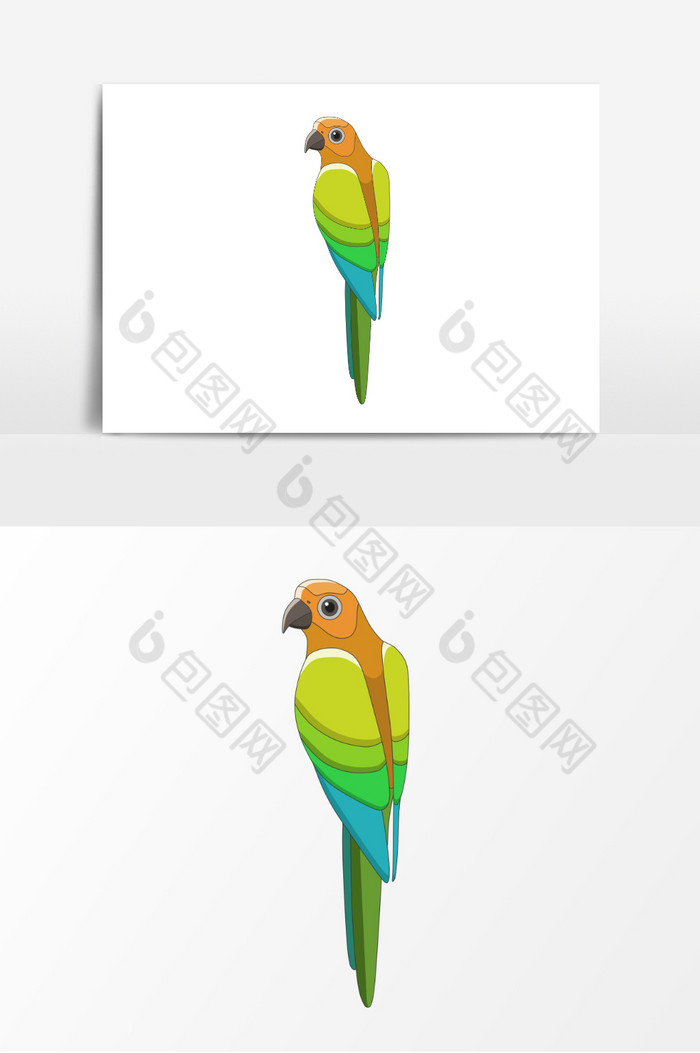 鸟彩色动物鸟插画图片图片