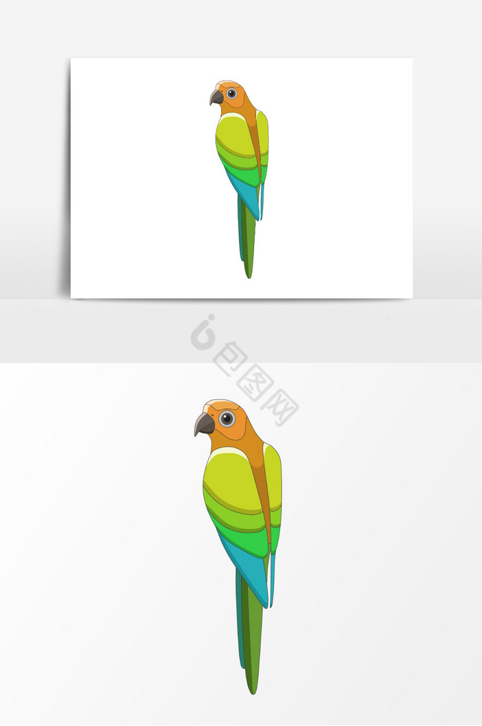 鸟彩色动物鸟插画图片