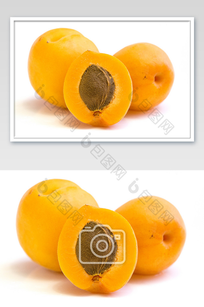 白色背景黄杏横版摄影图片