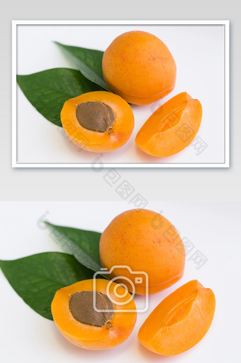 绿叶水果杏果实果核图片