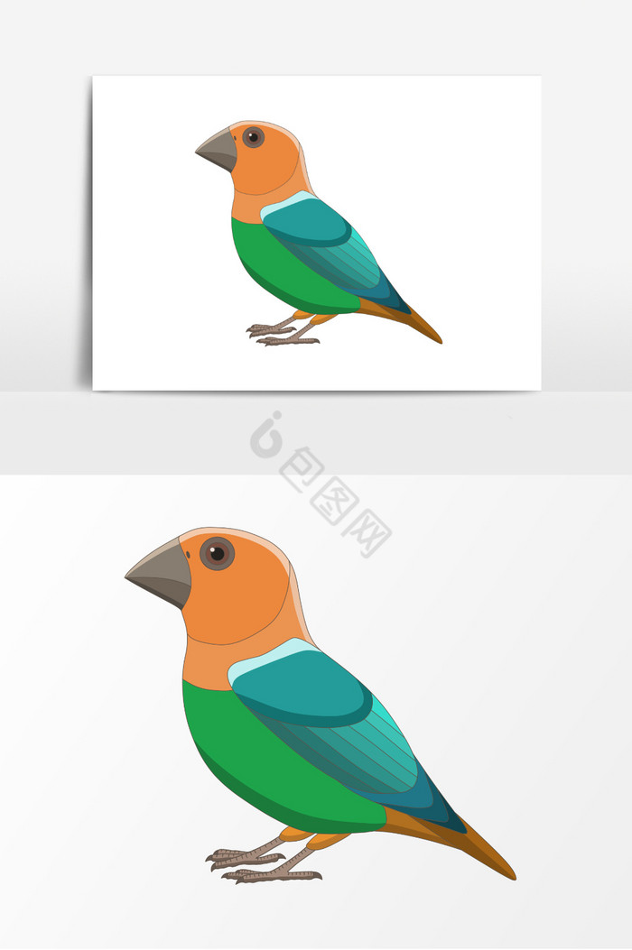 鸟插画动物彩色鸟插画图图片