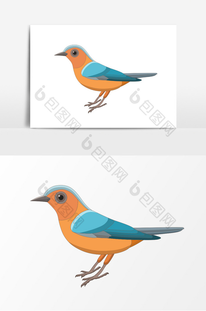 鸟可爱动物彩色鸟插画元素图