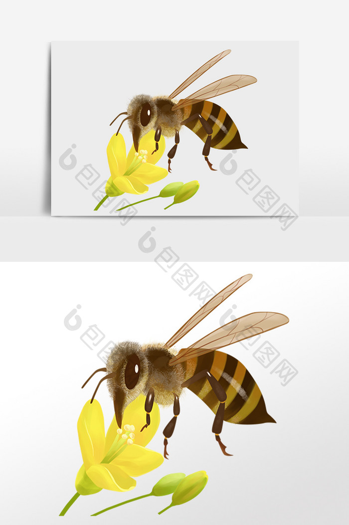手绘卡通昆虫虫子蜜蜂插画