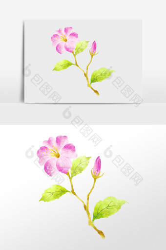 手绘清新植物粉色杜鹃花插画图片
