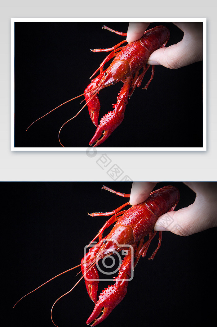 高清美食香辣小龙虾细节摄影图片