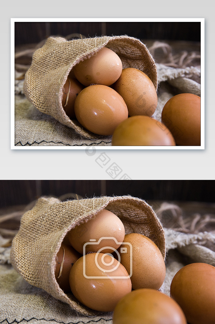 鸡蛋复古风拍摄家禽类