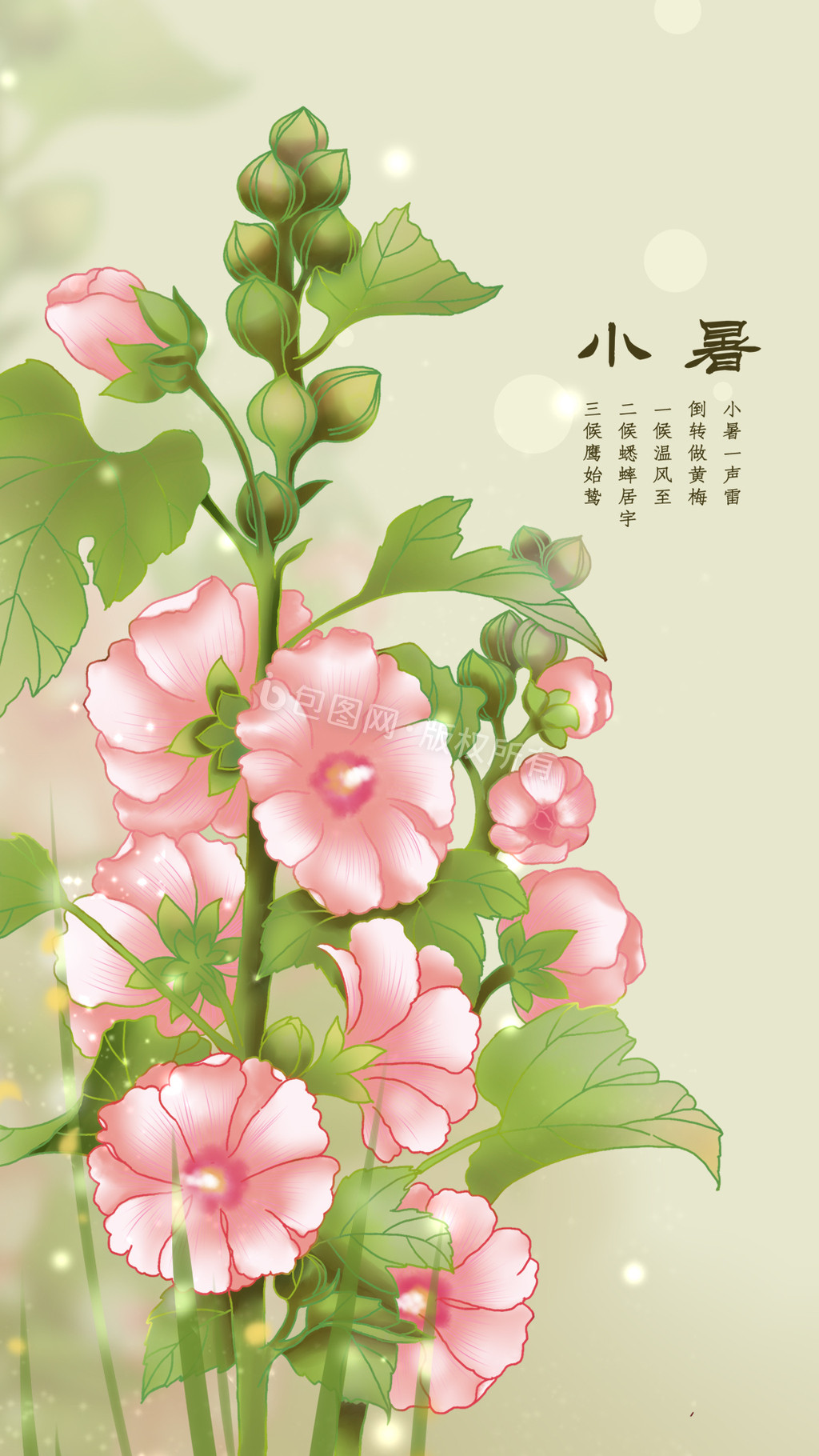 二十四节气小暑夏之蜀葵gif插画图片