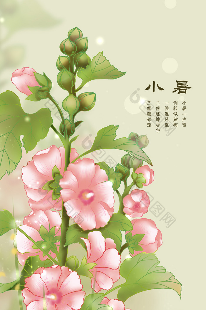 二十四节气小暑夏之蜀葵gif插画