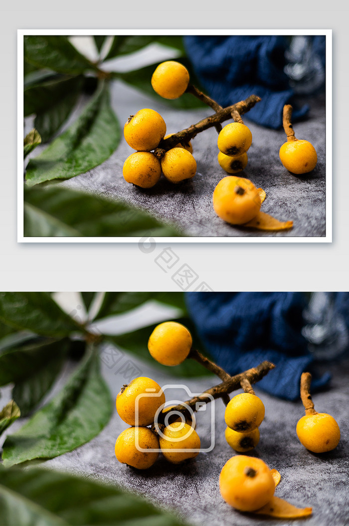夏季新鲜水果枇杷摄影图片