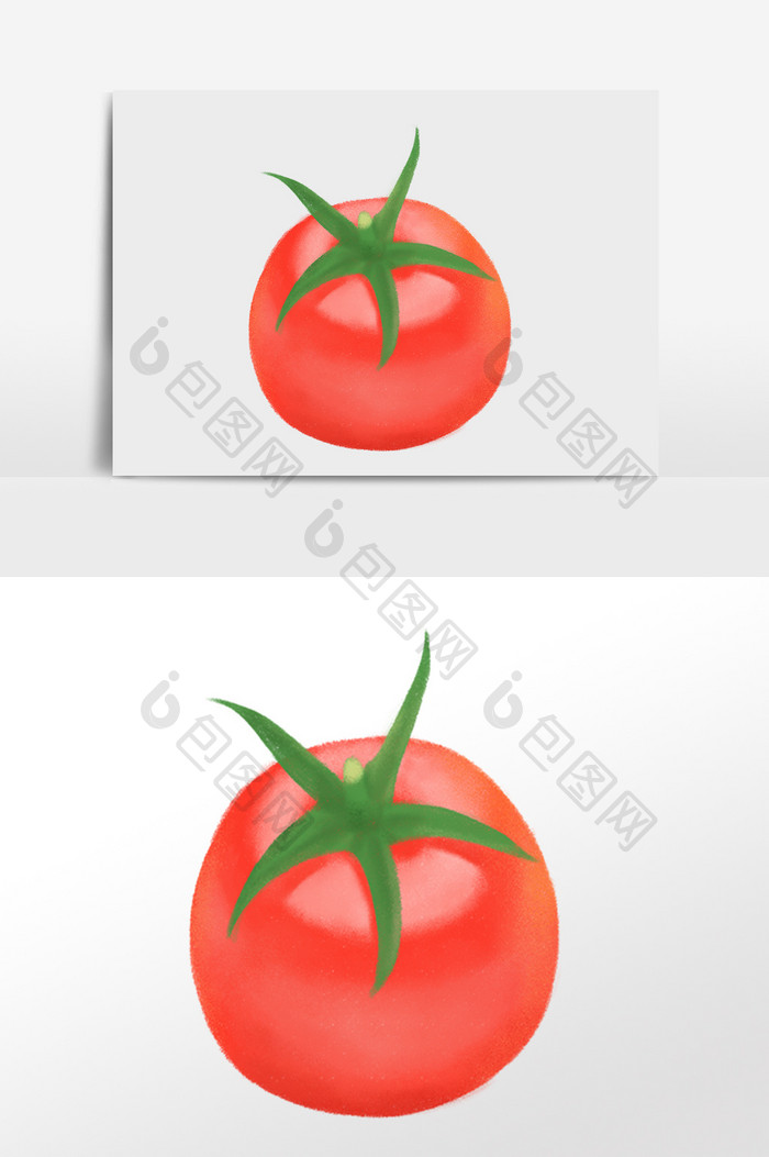 手绘新鲜有机绿色蔬菜番茄插画