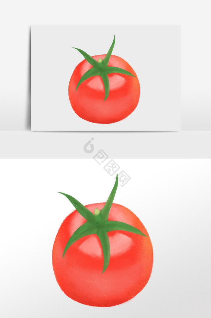 新鲜有机蔬菜番茄插画图片