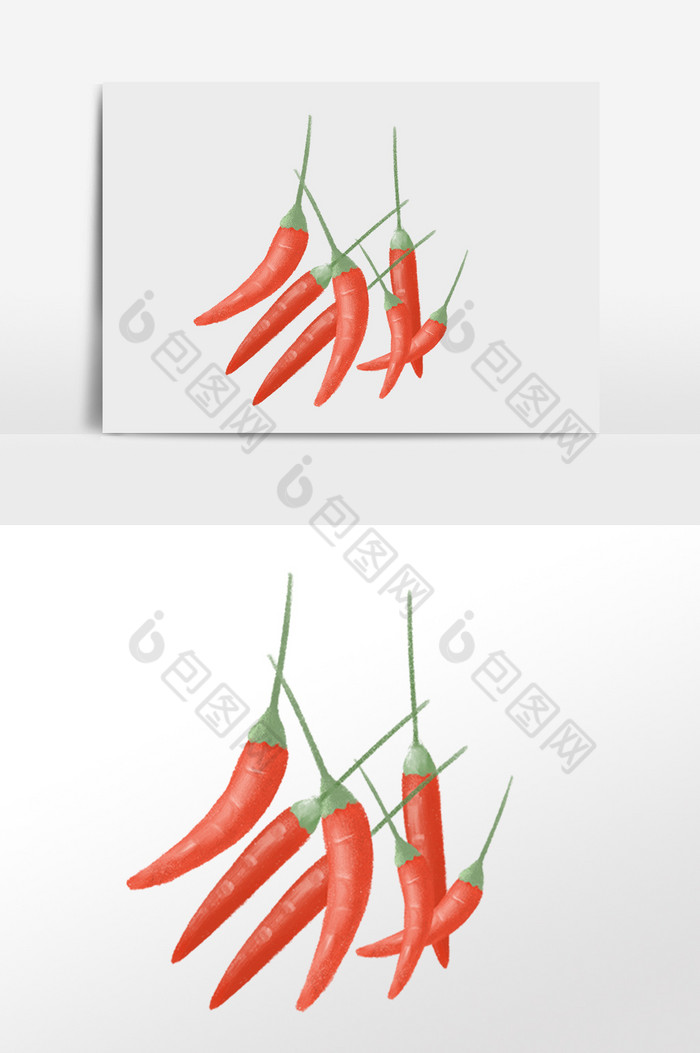 新鲜有机蔬菜辣椒插画图片图片