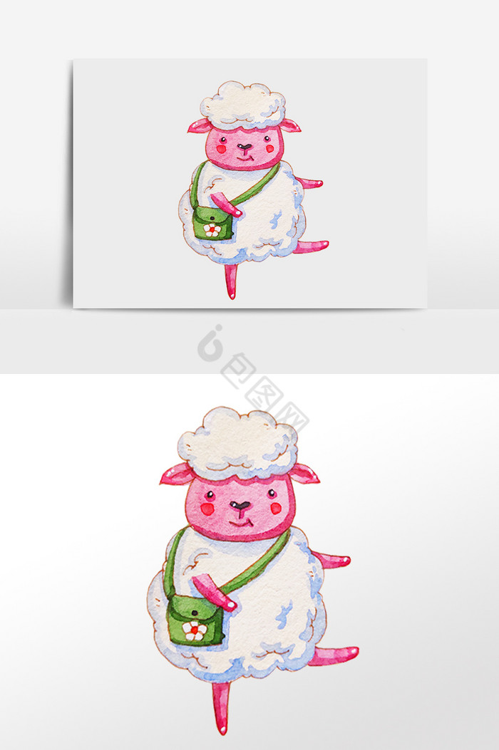 小动物小绵羊插画图片