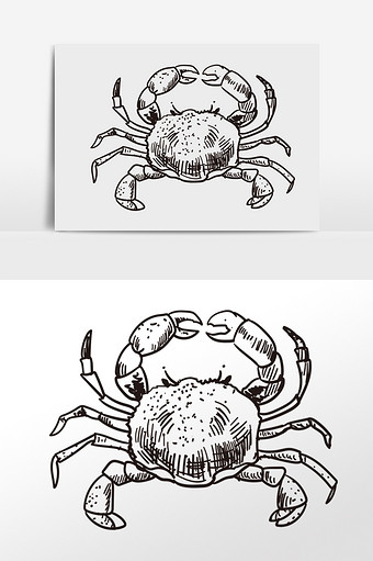 手绘线描素描海鲜螃蟹插画图片下载