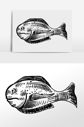 热带鱼品种图片