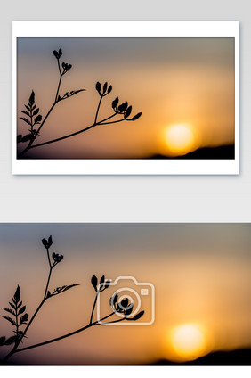 夕阳剪影PPT素材摄影图片