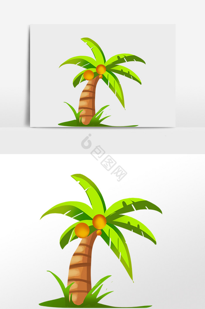 植物椰汁树果树插画图片