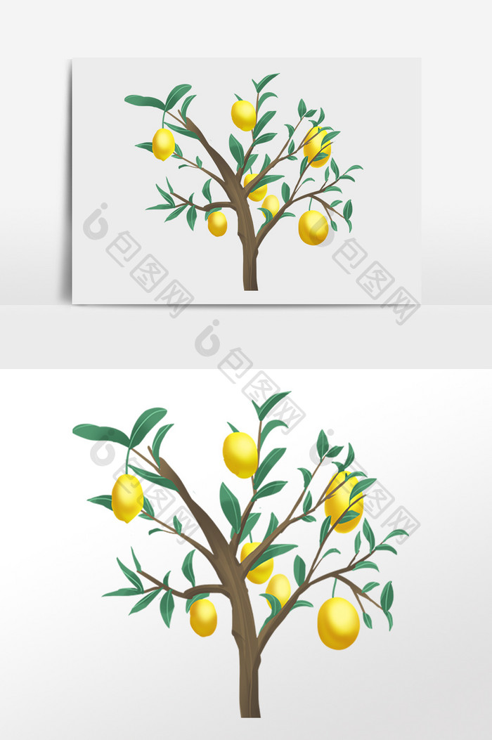 手绘绿色植物黄橙子果树插画