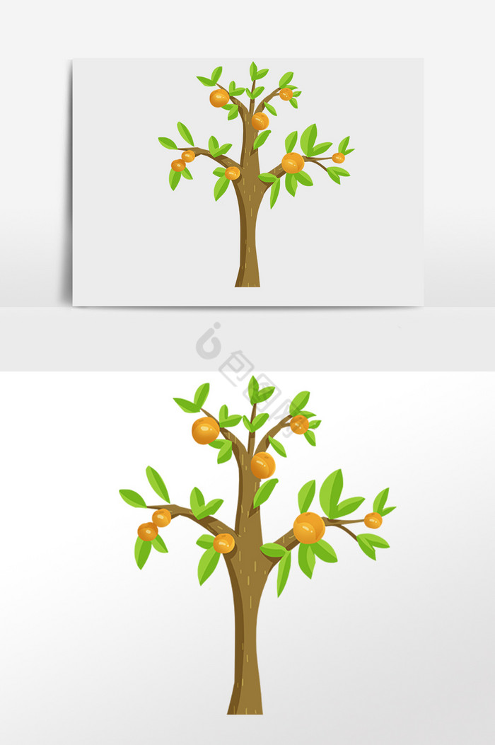 植物橙子果树插画图片