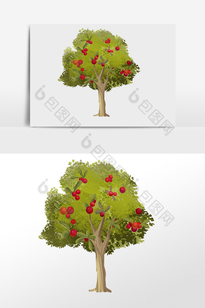 植物果树樱桃树插画图片图片