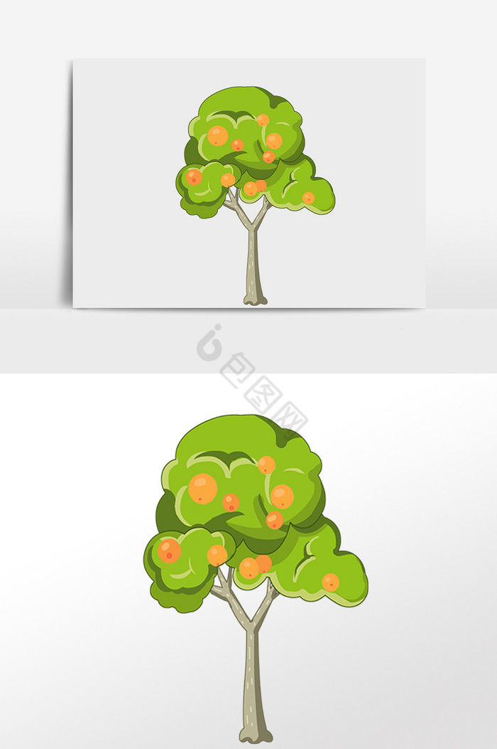 植物果实橙子树插画图片
