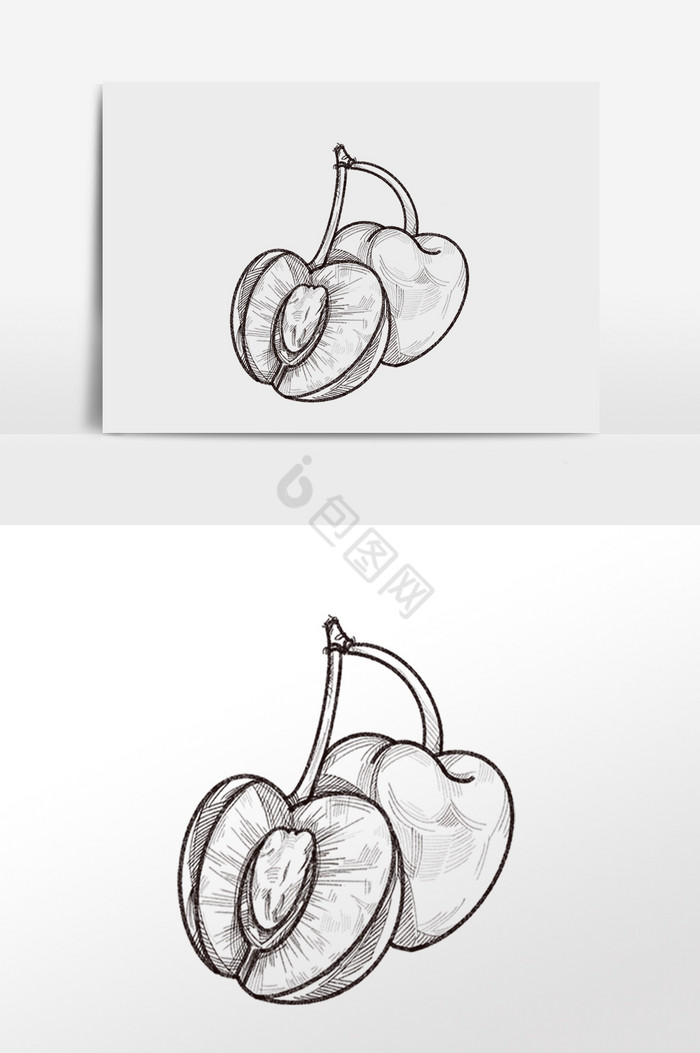 线描素描水果樱桃插画图片