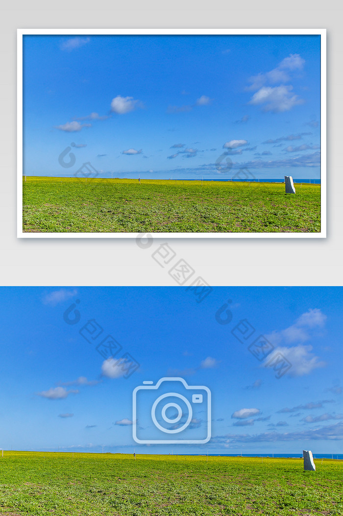 青海自然蓝色天空绿色草地图片图片