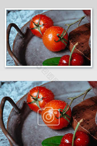 新鲜的西红柿摄影图片
