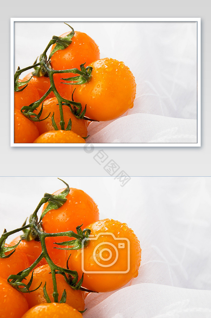 水珠黄色小番茄高清摄影图图片