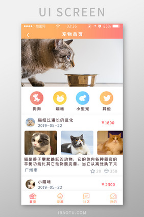 渐变黄橙色扁平简约宠物首页UI移动界面
