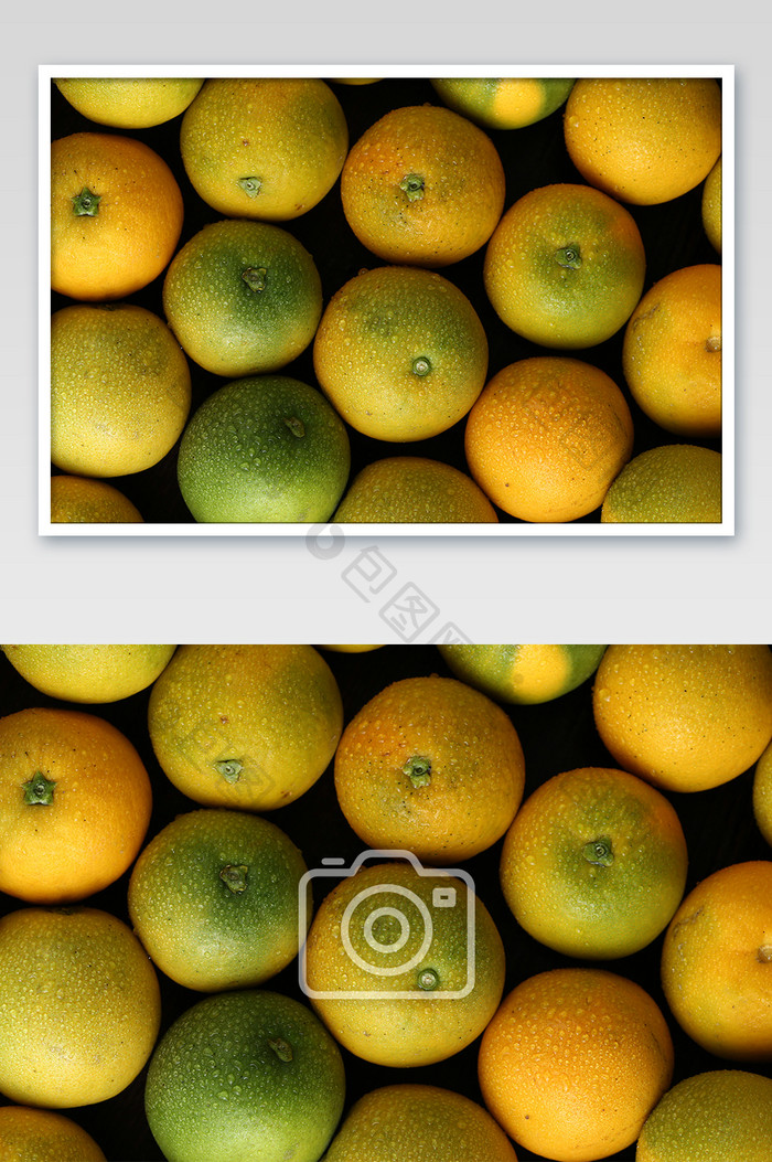 当季时令水果夏橙高清摄影图片