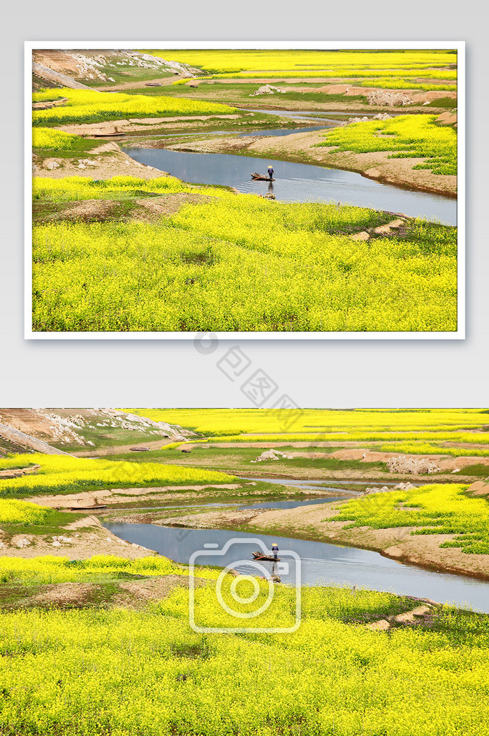 春世界油菜花开风景摄影 图片下载 包图网