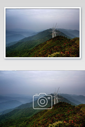 高山杜鹃风车发电风景摄影图片