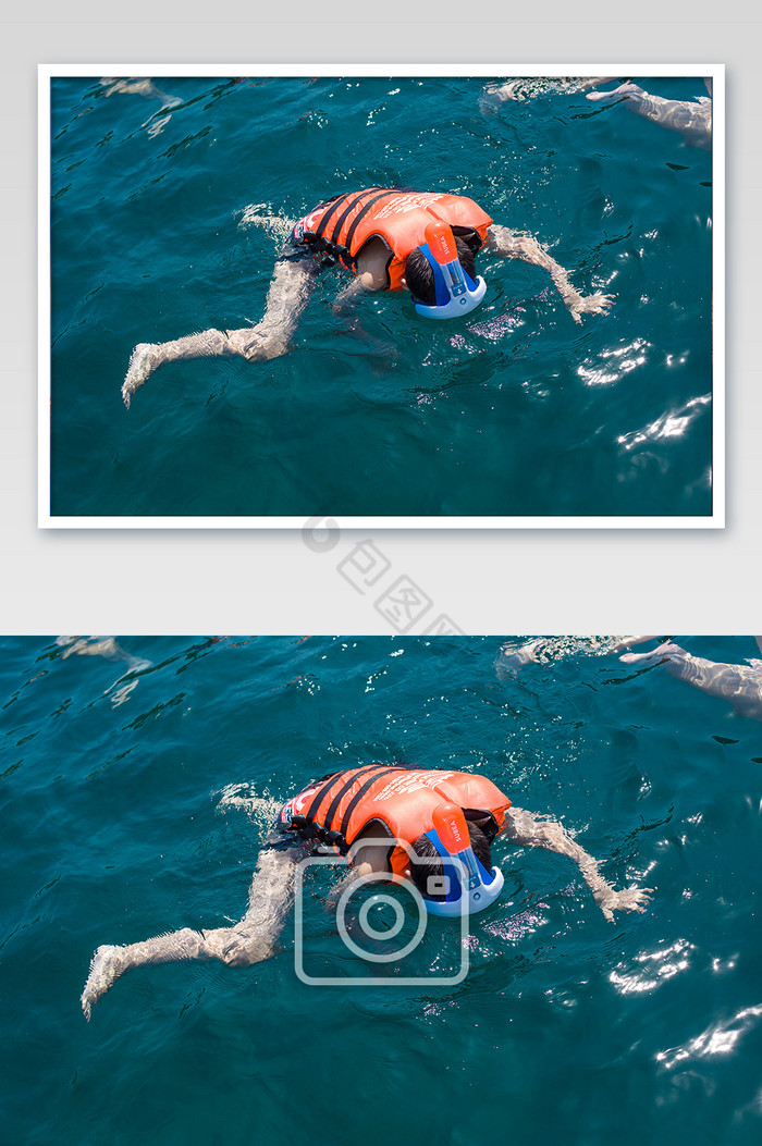 一个人在海里浮潜低头寻找鱼图片