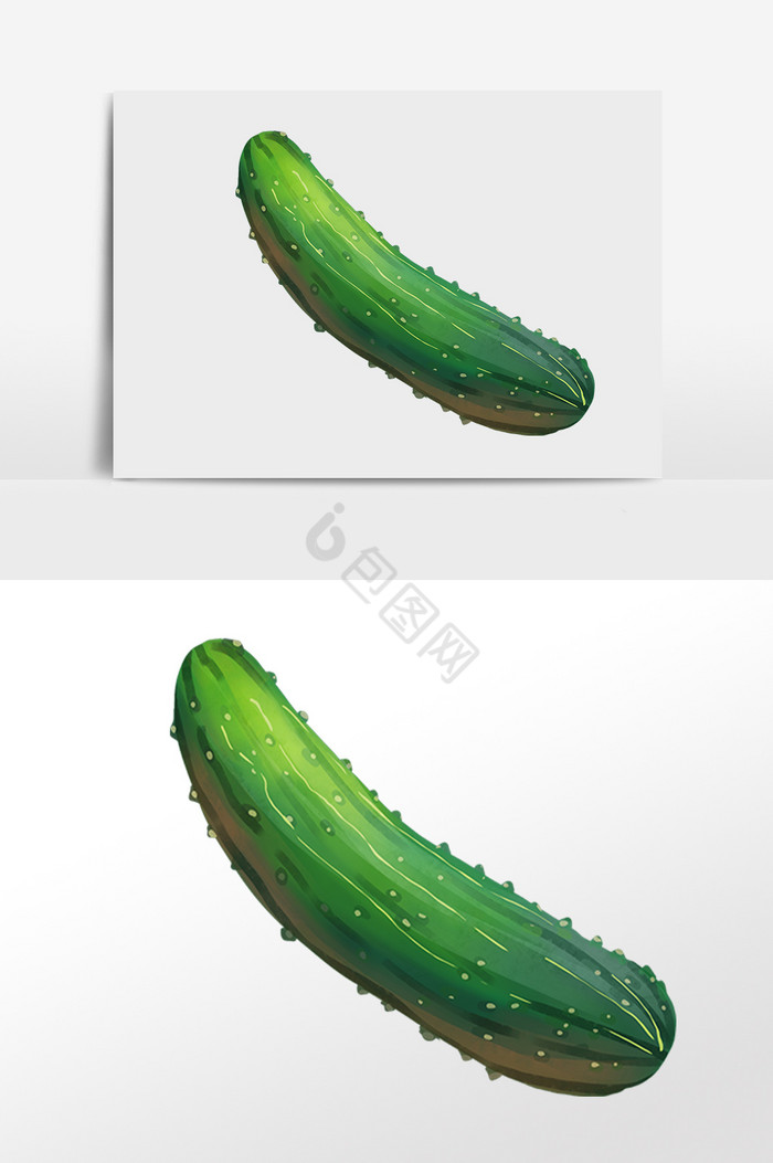 食材黄瓜