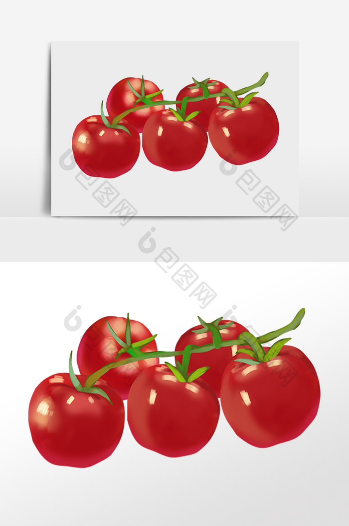 手绘绿色有机新鲜蔬菜番茄插画