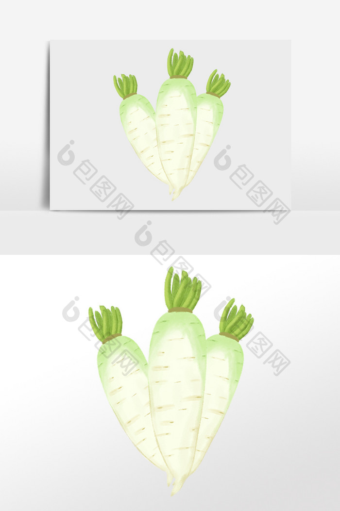 手绘绿色有机蔬菜白萝卜插画