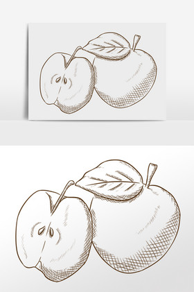 线描素描水果苹果插画