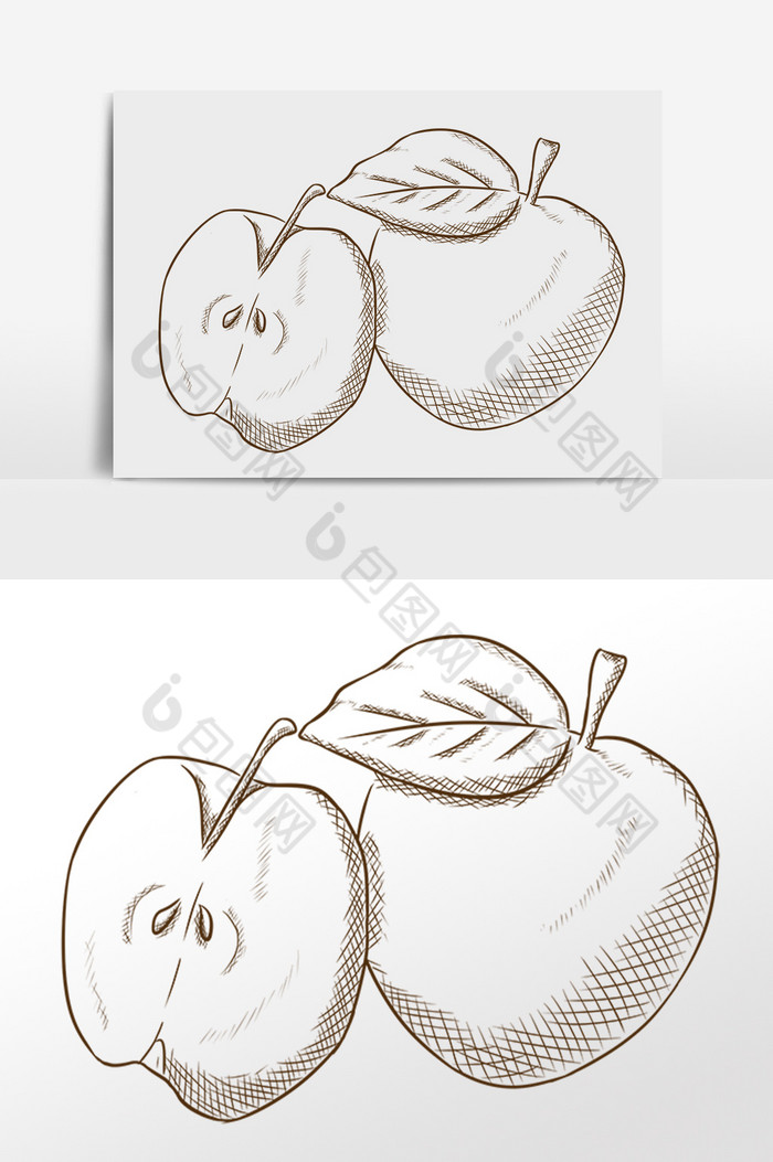 线描素描水果苹果插画图片图片