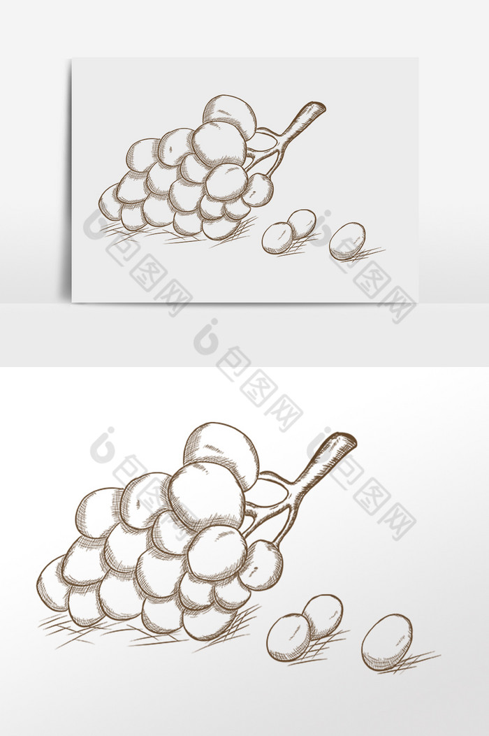 线描素描水果葡萄插画图片图片