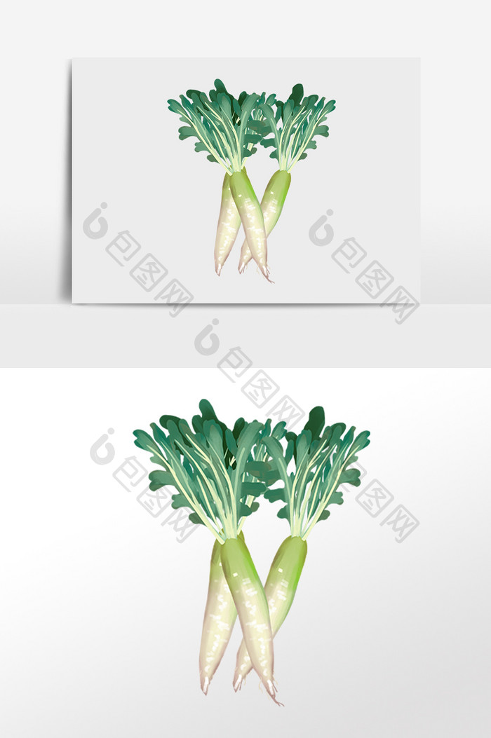 手绘绿色有机蔬菜萝卜插画